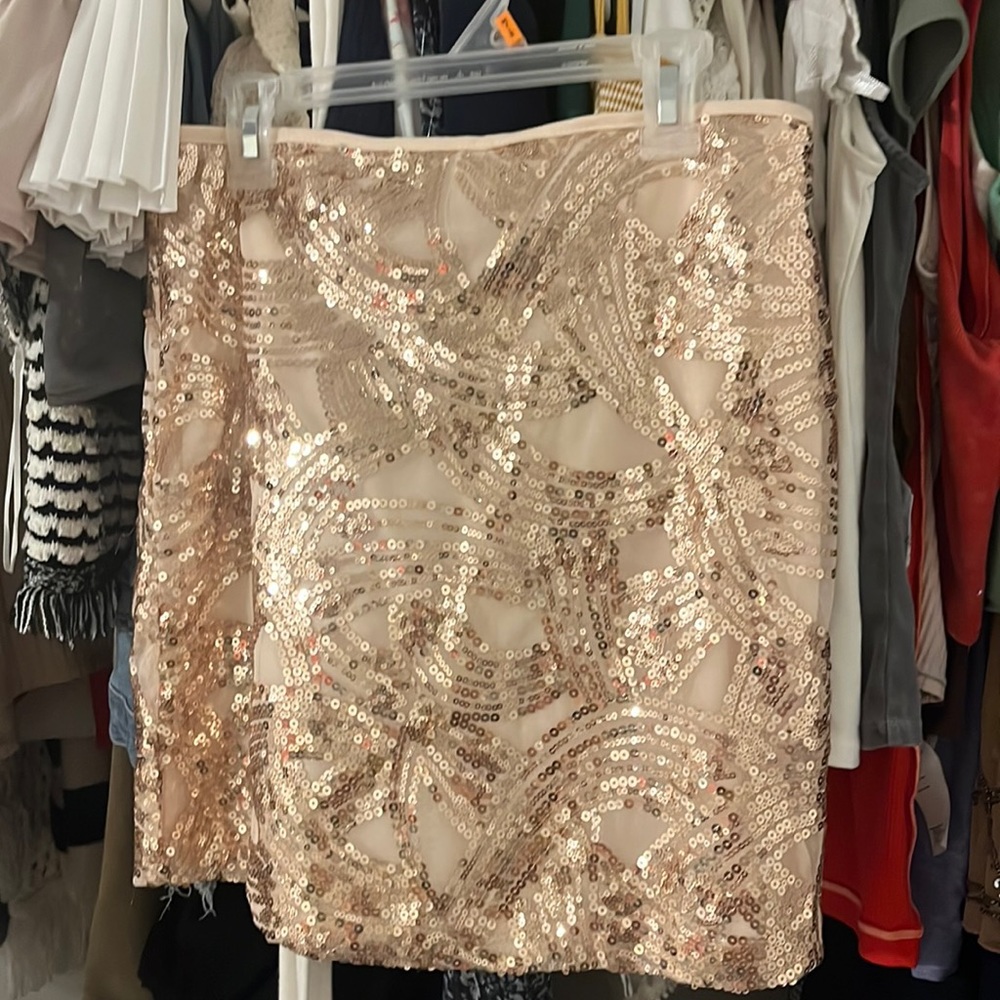 champagne color sequin skirt!